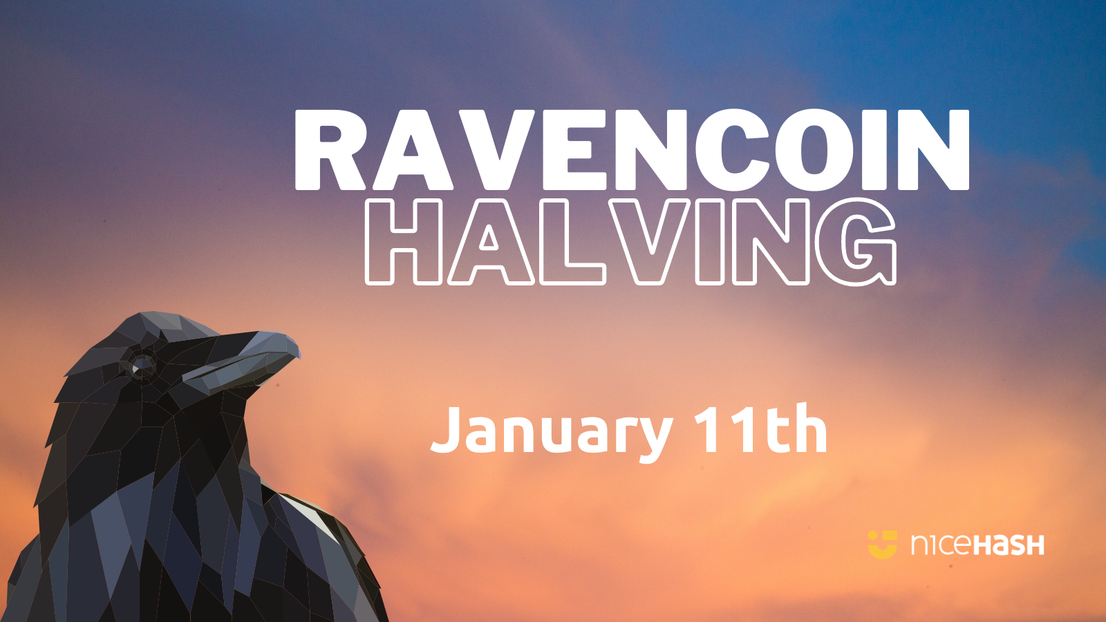 marketingRavencoin-3