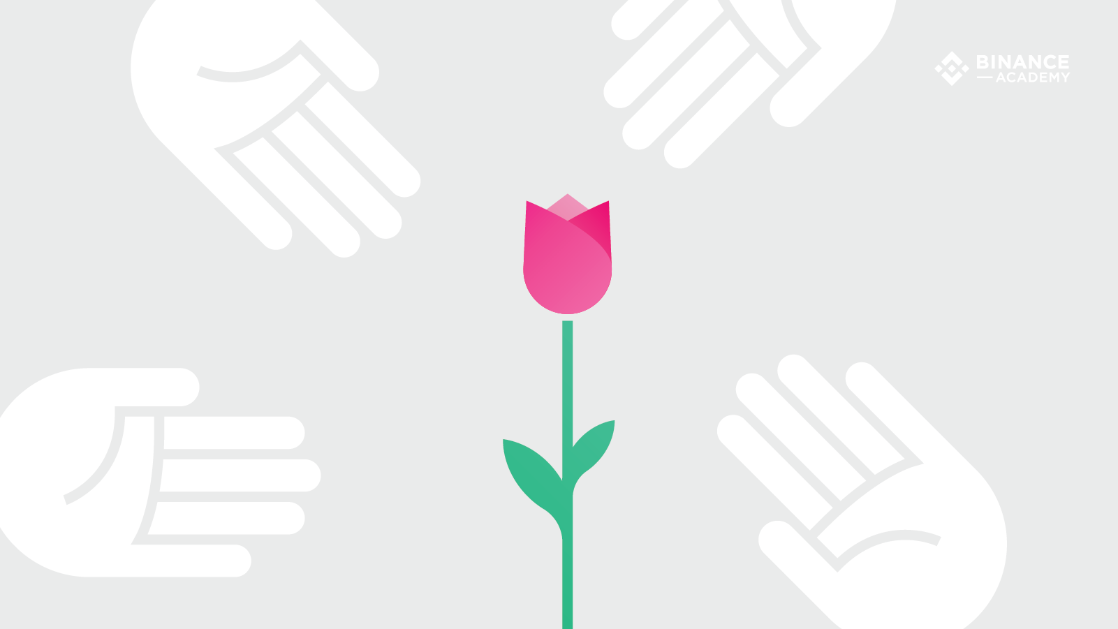 IrhNXYohLqErozQfc2EC