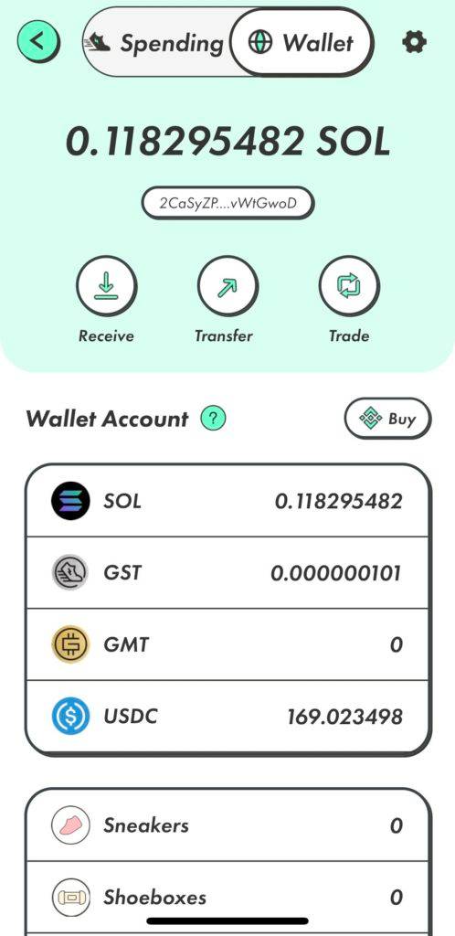 StepN-Wallet-498x1024-1