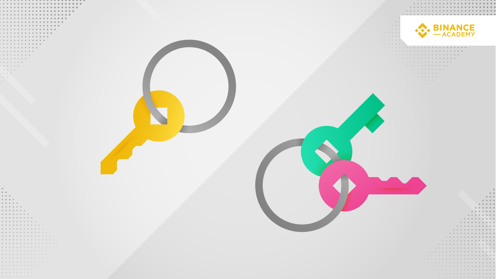 zeBWODNnX5Wb1fKZYlut