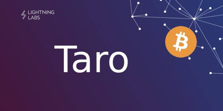 49b7afa58d0241775633360d4eef25a1